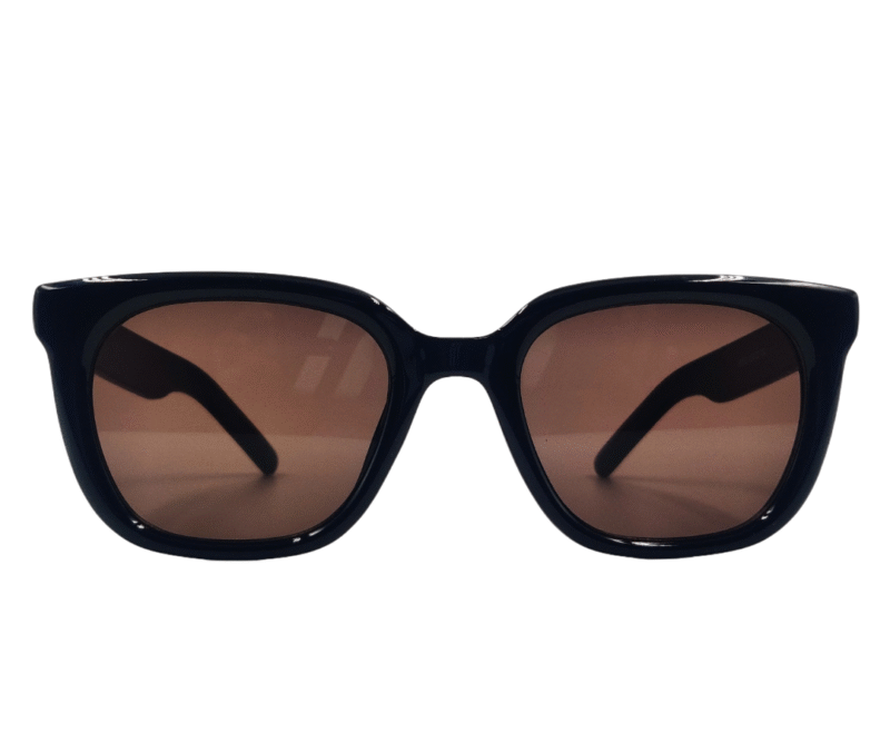 Black Brown Full Rim Wayfarer Unisex