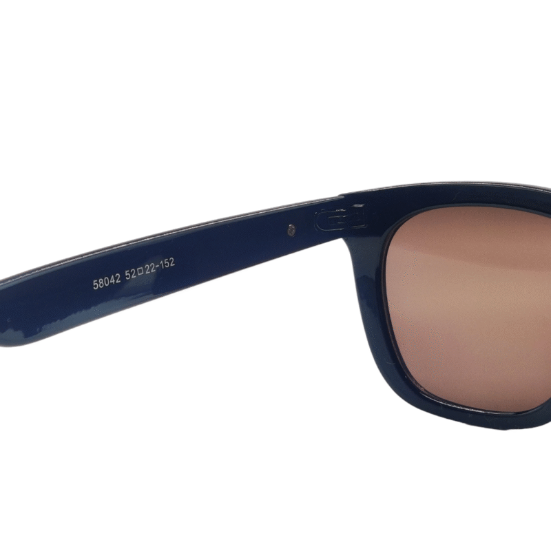 Black Brown Full Rim Wayfarer Unisex - Image 3