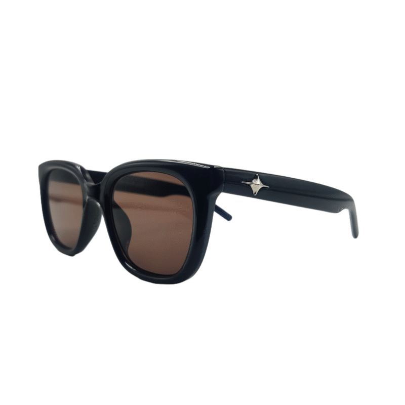 Black Brown Full Rim Wayfarer Unisex - Image 2