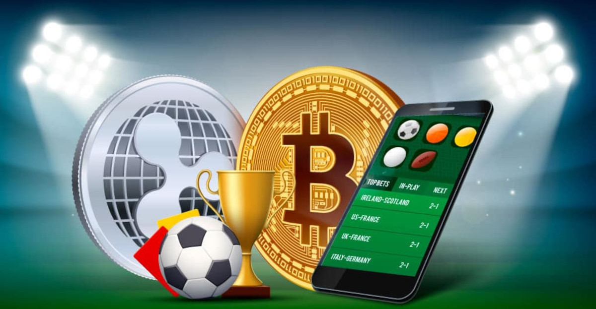 Discovering the Thrill of Sports with habtamu bet Discovering the Thrill of Sports with habtamu bet