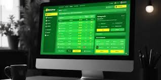 Explore the Thrills of BetWinner Gambling Platform